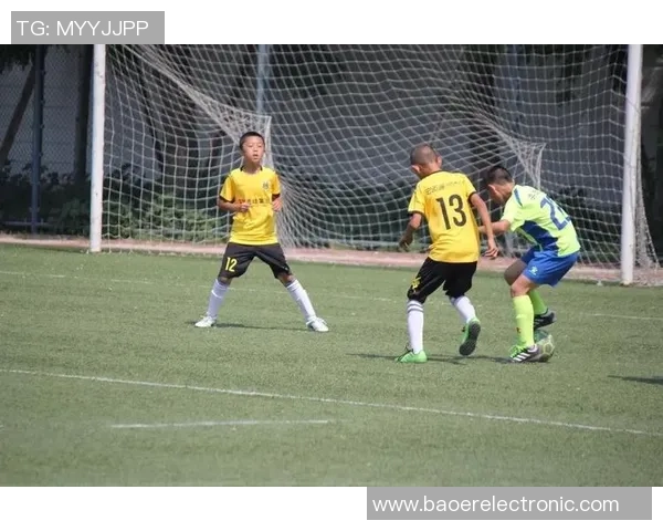 蚌埠足球之星的崛起与荣耀探索他们的成长历程与未来发展